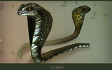 Cobra